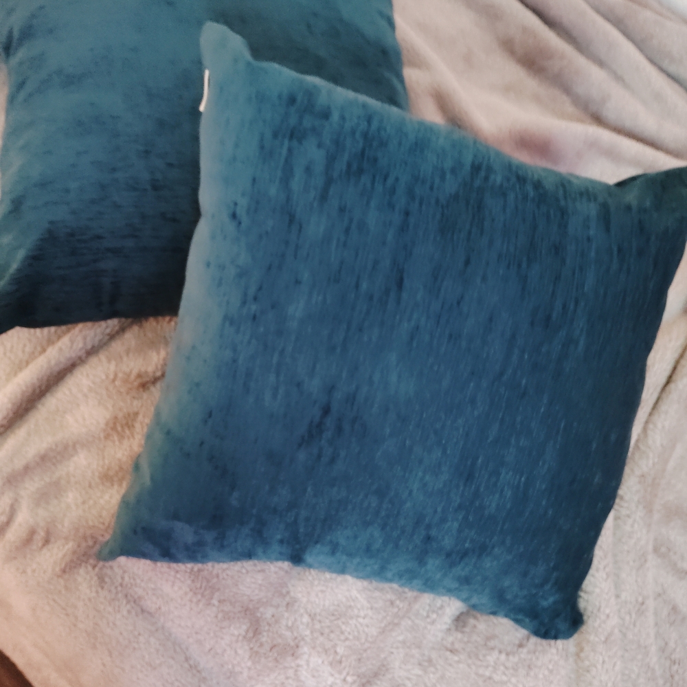 Teal Basic Throw Pillows